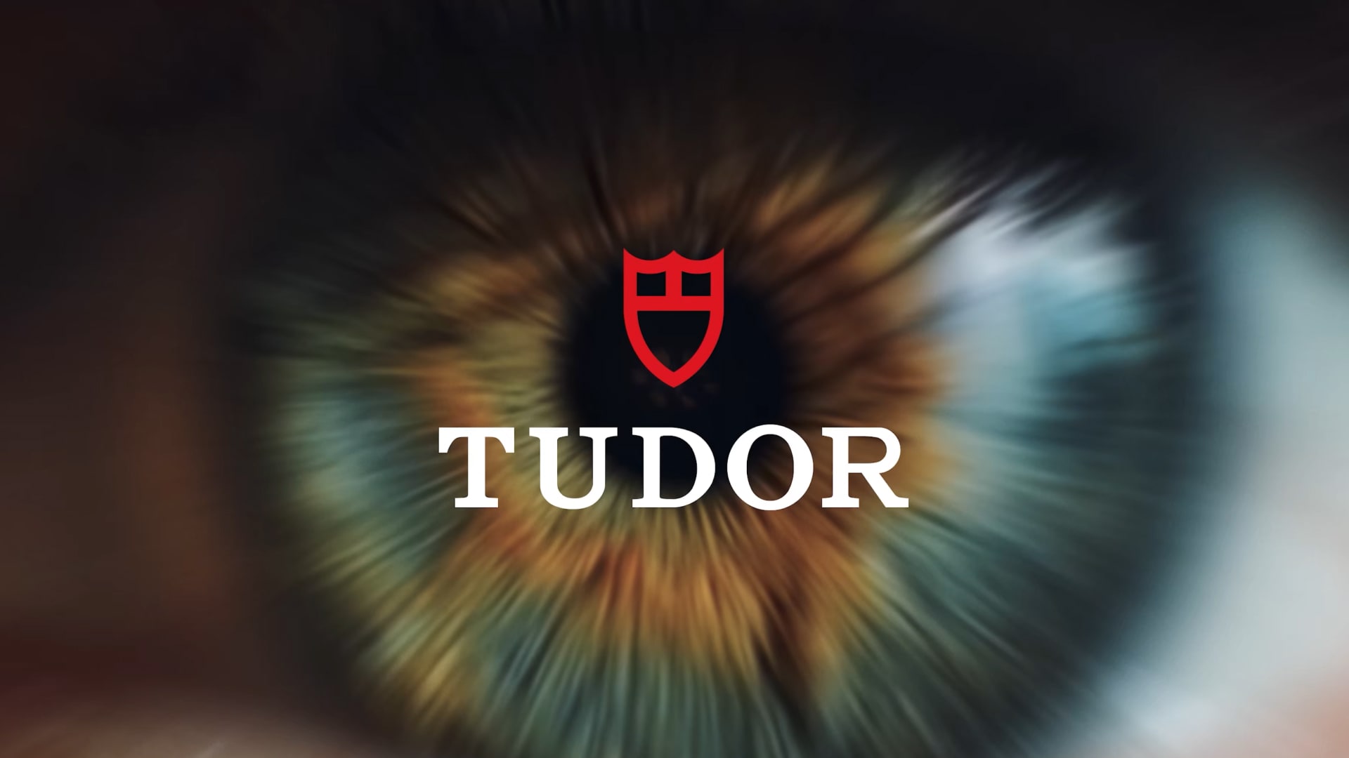 Tudor New Watches Video