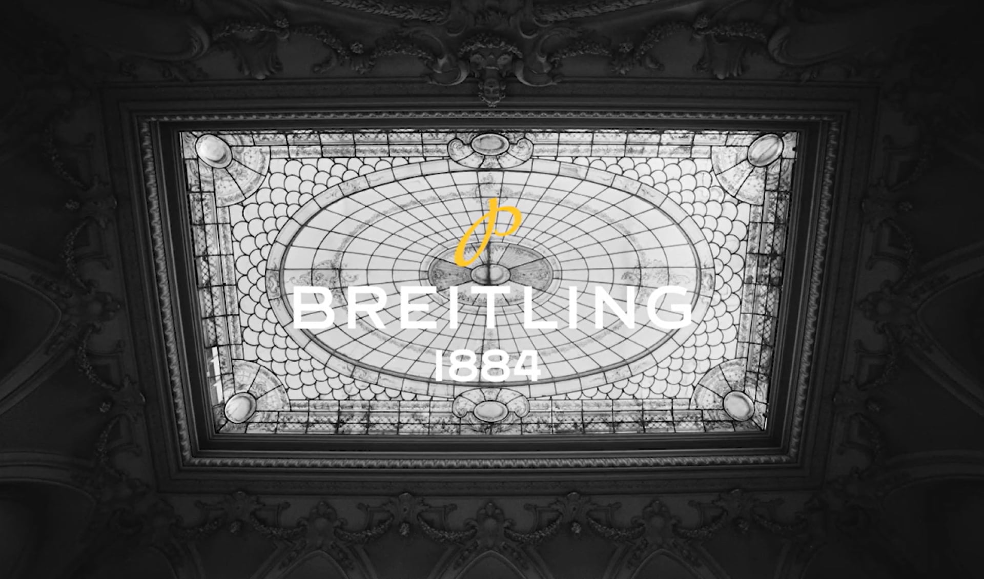 Brand Video Cover Image