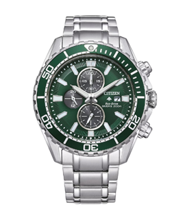 Promaster Diver Promaster Diver