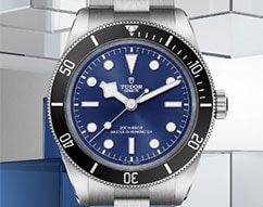 Tudor Tudor