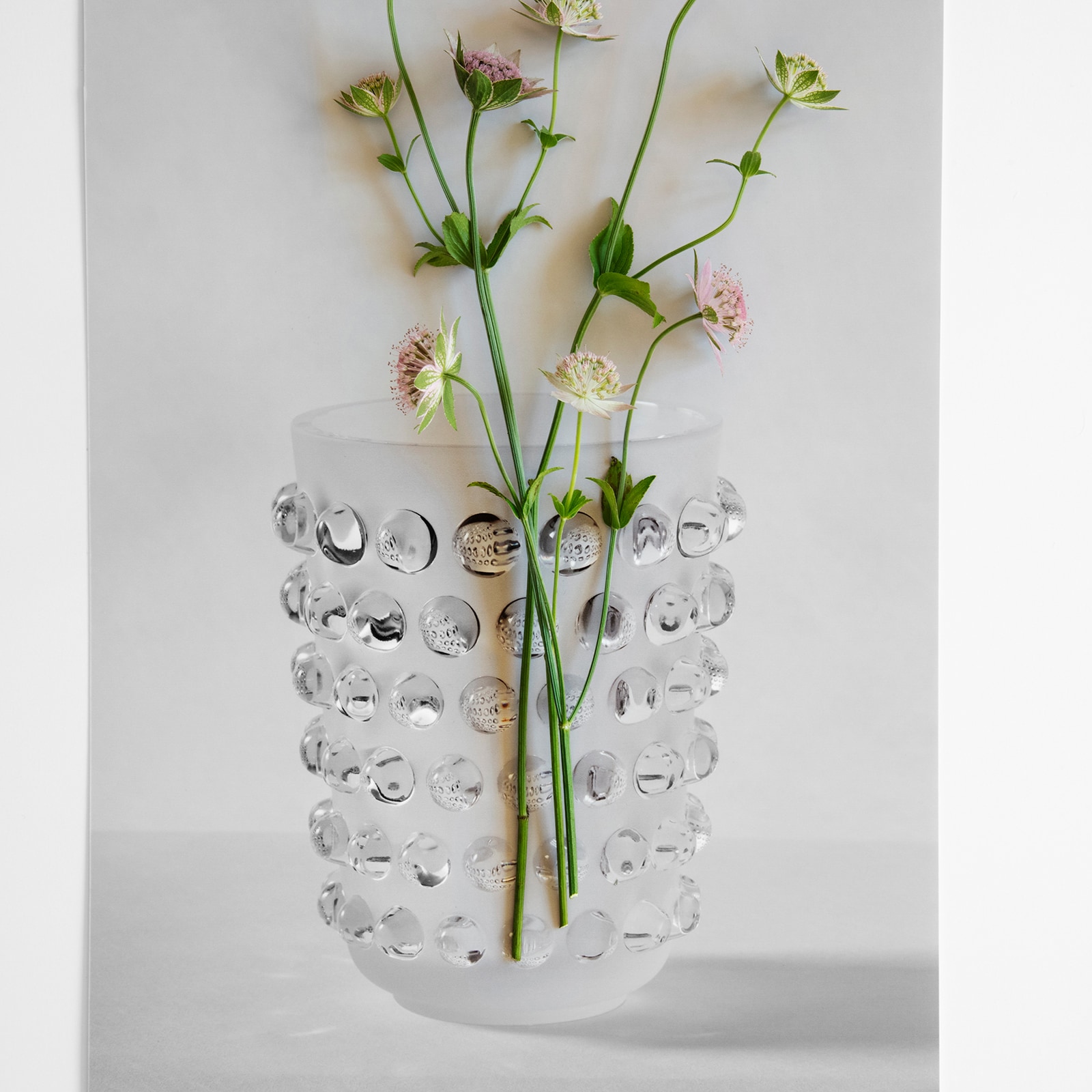 Lalique Mossi Clear Vase