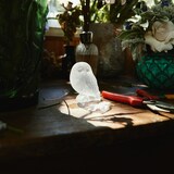 Lalique Shivers Clear Owl Crystal Sculpture