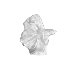 05840702 - Clear Fighting Fish