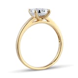 Goldsmiths 9ct Yellow Gold 0.40cttw Diamond Cluster Engagement Ring