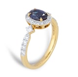Best Luxury 
18ct Yellow Gold Oval Cut Sapphire and Diamond Halo Ring