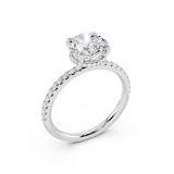 WOS Platinum 1.00cttw Diamond Hidden Halo Engagement Ring