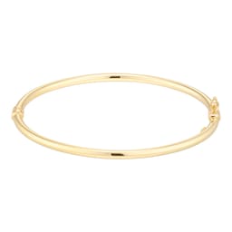11070393 - 9ct Yellow Gold Round Tube Bangle