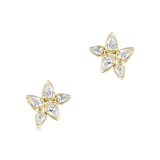 WOS 18K Yellow Gold Pear Shaped Diamond Stud Earrings