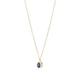 Best Luxury 
9ct Yellow Gold Sapphire Birthstone Pendant