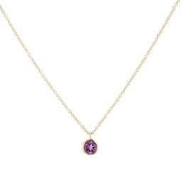 12143755 - 9ct Yellow Gold Amethyst Birthstone Pendant