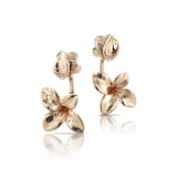 Pasquale Bruni 18k Rose Gold Petit Garden 0.08cttw Diamond Drop Earrings