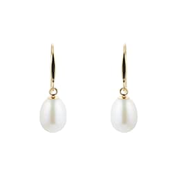 15070332 - 9ct Yellow Gold 7mm Freshwater Pearl Drop Earrings