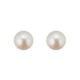 15070333 - 9ct Gold 5.0-5.5mm Pearl Earrings