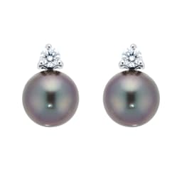15070366 - 18ct White Gold 0.20cttw Diamond & Tahitian Pearl Stud Earrings