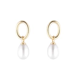 15070369 - 9ct Yellow Gold Oval Freshwater Pearl Drop Earrings