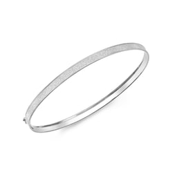 16110056 - 9ct White Gold 4mm Stardust Bangle