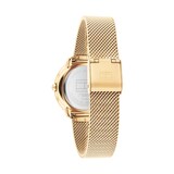 Tommy Hilfiger 32mm Ladies Watch Gold