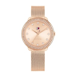 17280281 - Demi Rose Gold PVD Mesh Bracelet Ladies Watch