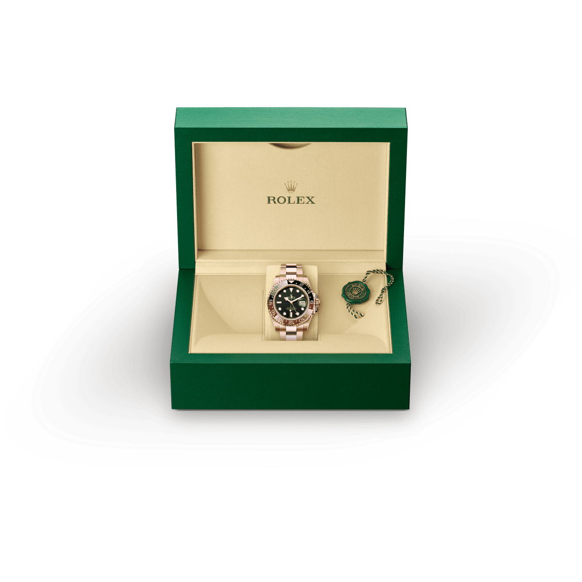 GMT-Master II image