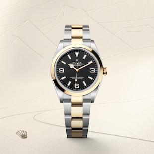 Explorer Explorer
