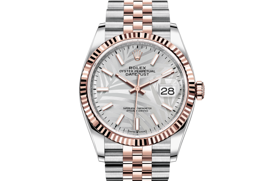 Rolex Datejust 36 Datejust 36 Rolex Datejust 36 Datejust 36