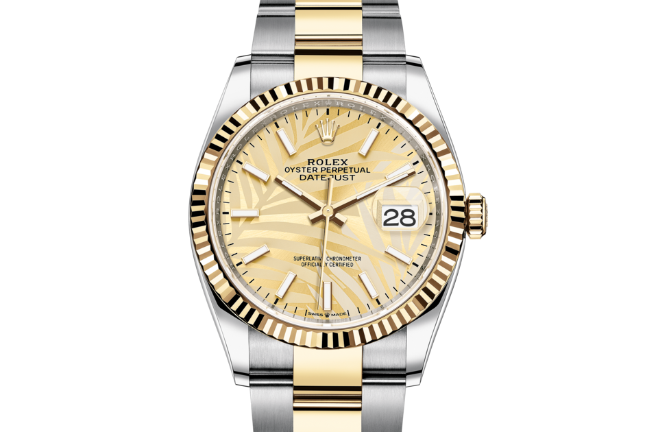 Rolex Datejust 36 Datejust 36 Rolex Datejust 36 Datejust 36