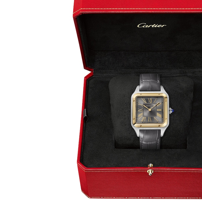 Cartier Santos-Dumont Watch, Large Model, Yellow Gold, High Autonomy Quartz
