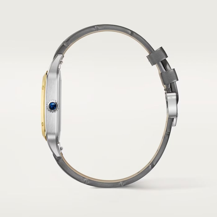 Cartier Santos Dumont Watch, Extra-Large Model, Manual Winding, Yellow Gold, Steel