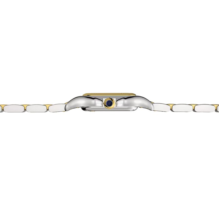 Cartier Panthere De Cartier Watch, Small Model, Quartz Movement, Yellow Gold, Steel