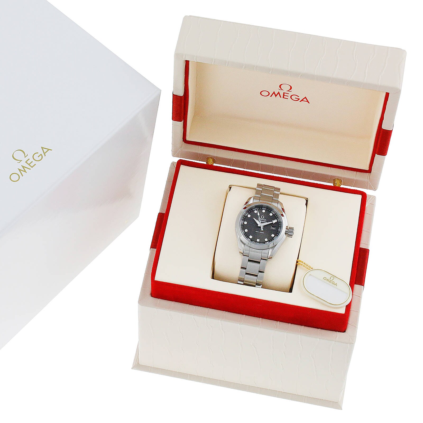 Omega Seamaster Aqua Terra 150m Quartz 30mm Ladies Watch ...