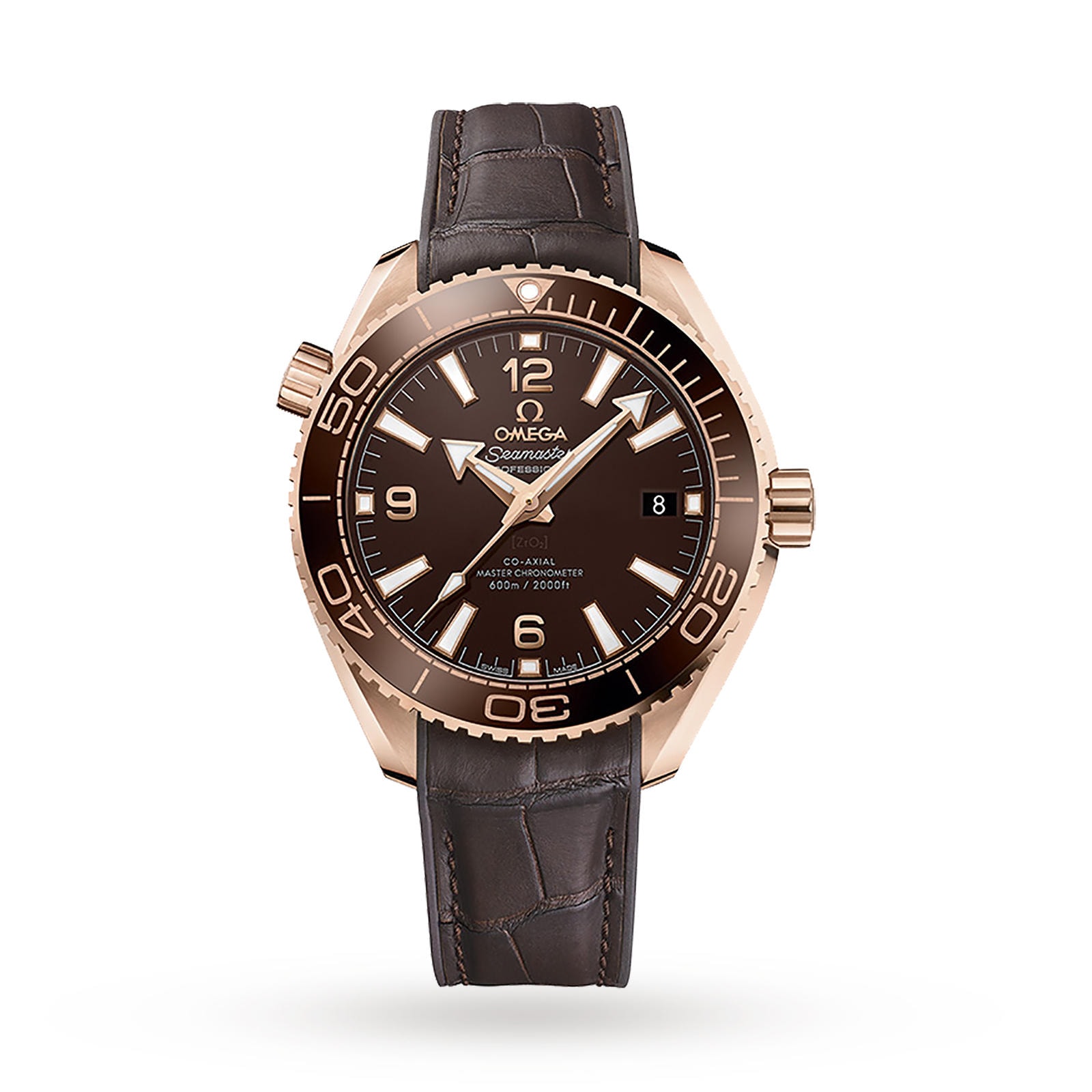 Omega Seamaster Planet Ocean 600m Co-Axial 39.5mm Mens Watch Omega Seamaster Planet Ocean 600m Co-Axial 39.5mm Mens Watch
