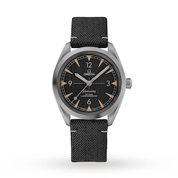 17331347 - Seamaster Railmaster Mens Watch