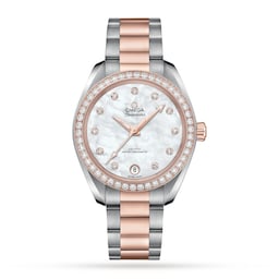 17331405 - Seamaster Aqua Terra Co-Axial Master Chronometer 34mm Ladies Watch