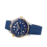 Omega Seamaster Pro-Diver 300 Mens Watch