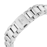 Omega Seamaster Aqua Terra Co-Axial Master Chronometer 34mm Ladies Watch