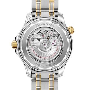 Omega Seamaster Diver 300 Co-Axial Master Chronometer 42mm