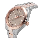 Omega Seamaster Aqua Terra Co-Axial Master Chronometer 34mm Ladies Watch