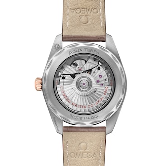 Omega Seamaster Aqua Terra Co-Axial Master Chronometer 38mm Ladies Watch