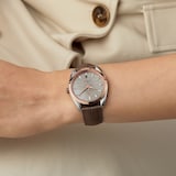 Omega Seamaster Aqua Terra Co-Axial Master Chronometer 38mm Ladies Watch