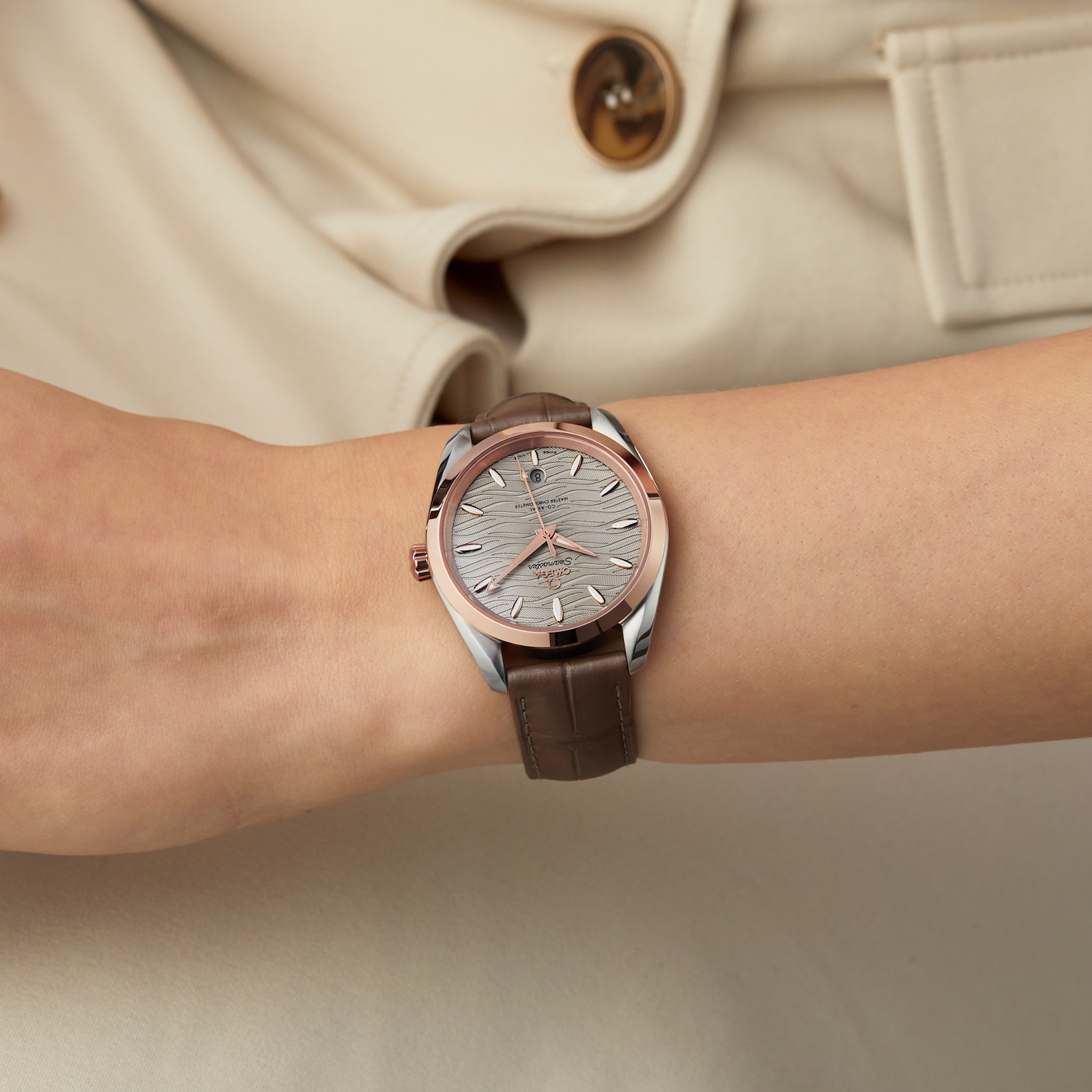 Omega Seamaster Aqua Terra Co-Axial Master Chronometer 38mm Ladies Watch