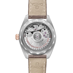 Omega Seamaster Aqua Terra Co-Axial Master Chronometer 34mm Ladies Watch