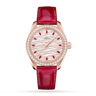 Omega Seamaster Aqua Terra Co-Axial Master Chronometer 34mm Ladies Watch