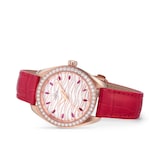 Omega Seamaster Aqua Terra Co-Axial Master Chronometer 34mm Ladies Watch