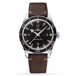 17331796 - Seamaster 300 Co-Axial Master Chronometer 41mm Mens Watch
