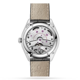 Omega De Ville Tresor Co-Axial Master Chronometer Power Reserve 40mm Mens Watch