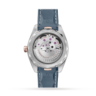 Omega Seamaster Aqua Terra Co-Axial 41mm Mens Watch