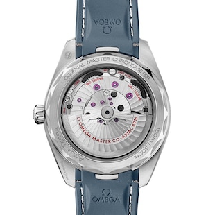 Omega Seamaster Aqua Terra 41mm Mens Watch