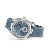 Omega Seamaster Aqua Terra 41mm Mens Watch