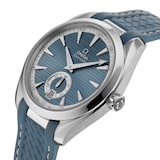 Omega Seamaster Aqua Terra 41mm Mens Watch