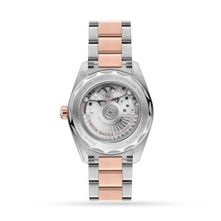 Omega Seamaster Aqua Terra Two-Tone 38mm Ladies Watch